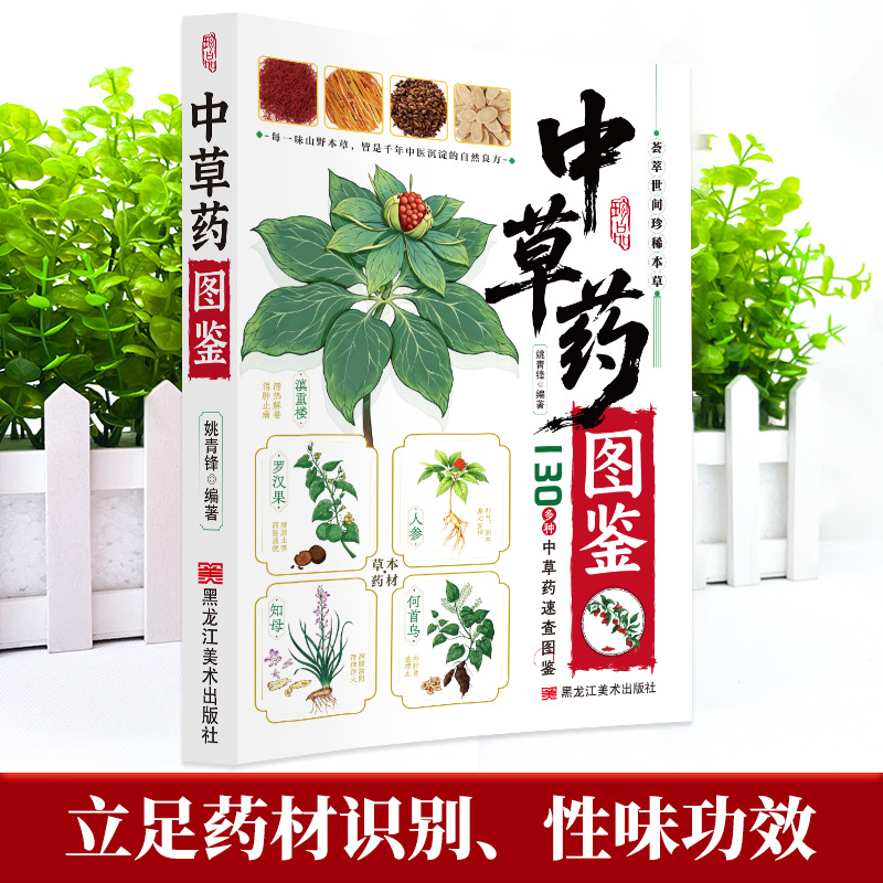 Guia Ilustrado de Medicina Her - Herbal Wellness Book avaliação e preço