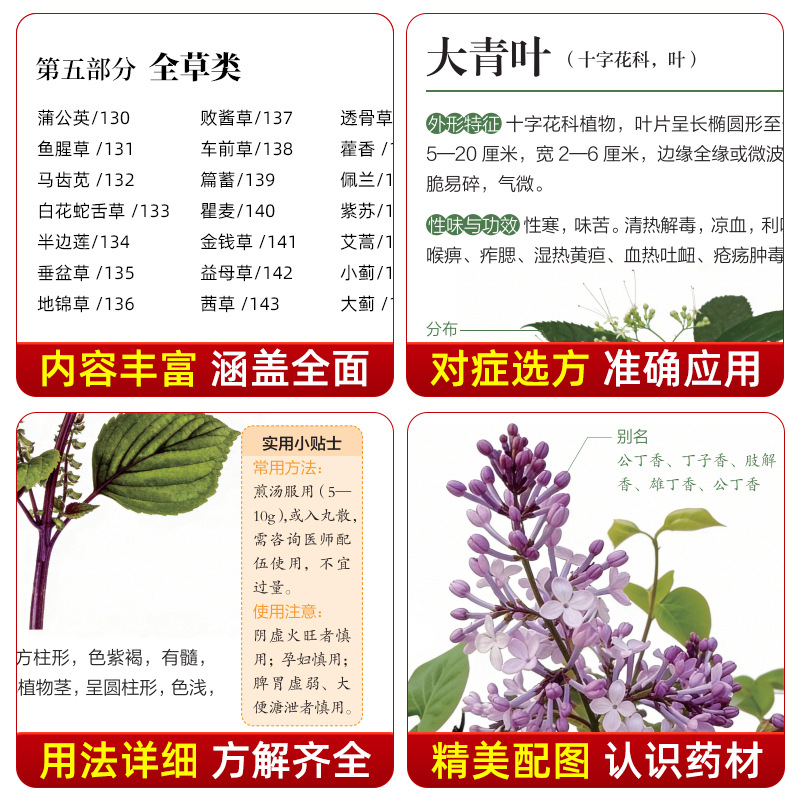 Guia Ilustrado de Medicina Her - Herbal Wellness Book avaliação e preço